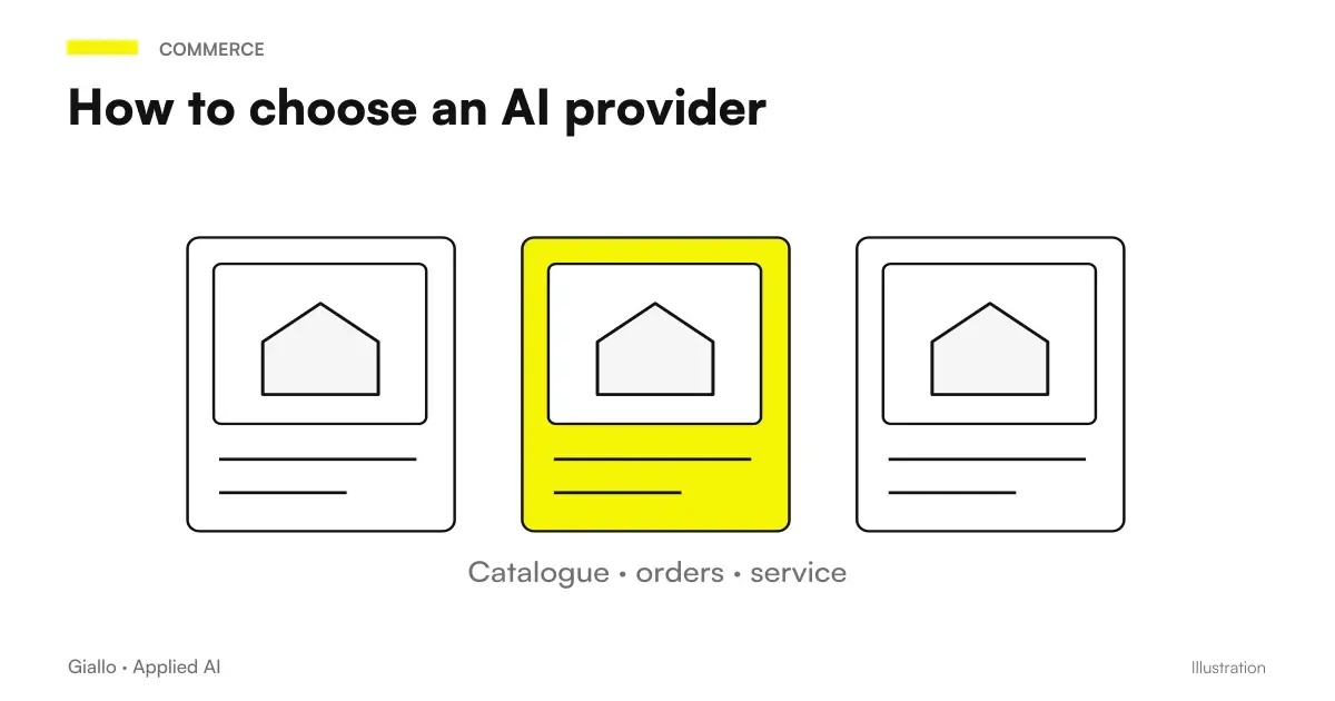 Criteria for choosing an AI project provider